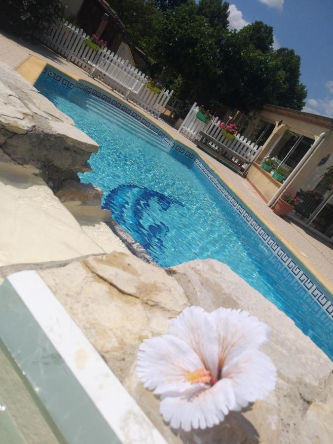 Gite T2 Avec Grande Piscine Διαμέρισμα Villeneuve-la-Comptal Εξωτερικό φωτογραφία